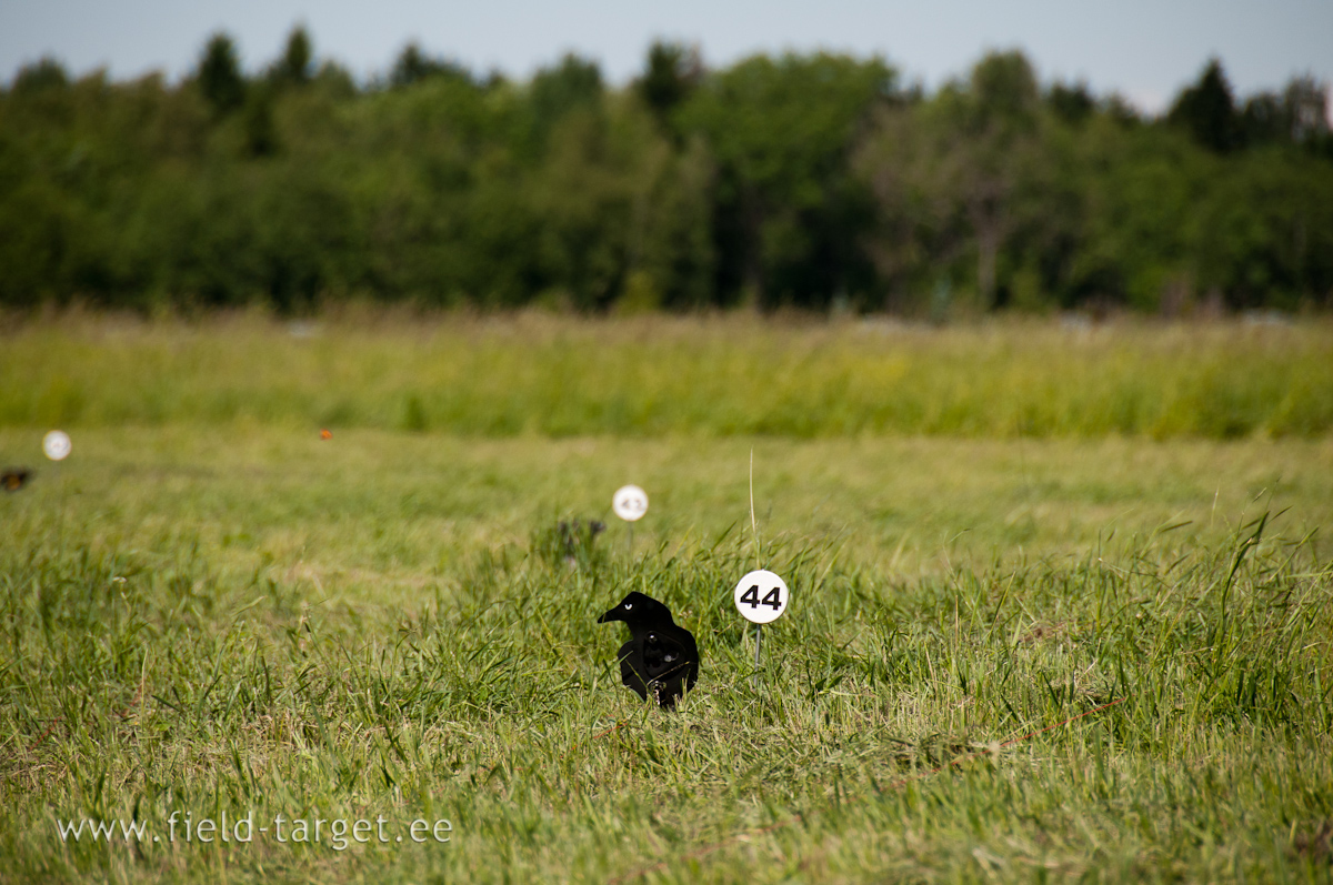 I know, you will shoot me!